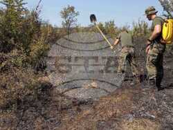 Снимка: Министерство на отбраната