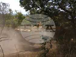 Снимка: Министерство на отбраната