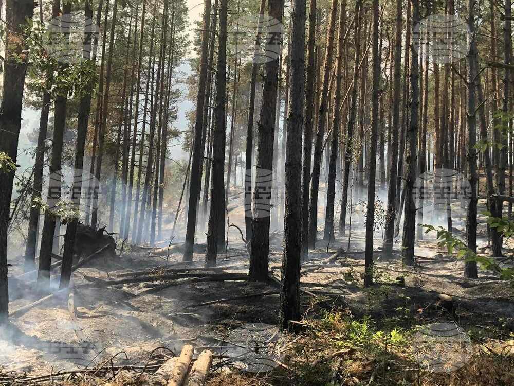 Локализираха пожара в землището на с. Преколница, община Кюстендил