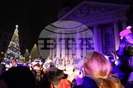 Коледна елха - тържество -  светлини