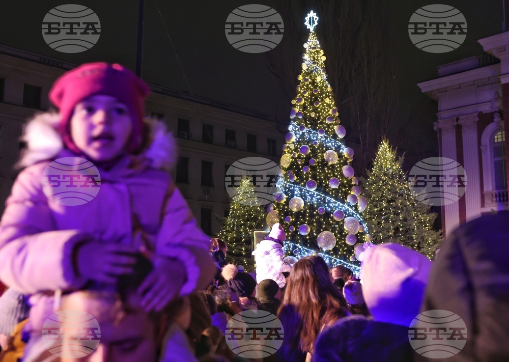 Коледна елха - тържество -  светлини