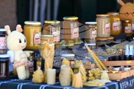 Село Каменово - Празник на пчеларя и меда