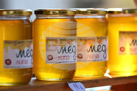 Село Каменово - Празник на пчеларя и меда