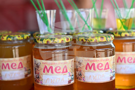 Село Каменово - Празник на пчеларя и меда