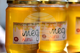 Село Каменово - Празник на пчеларя и меда