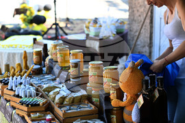 Село Каменово - Празник на пчеларя и меда