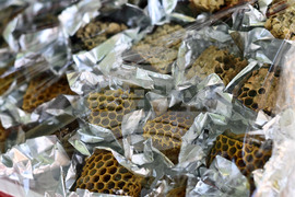 Село Каменово - Празник на пчеларя и меда