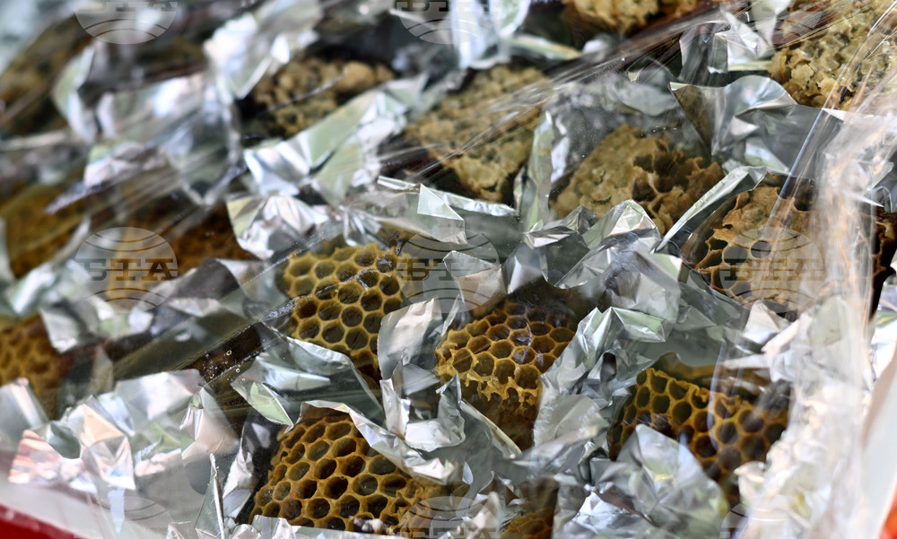 Село Каменово - Празник на пчеларя и меда