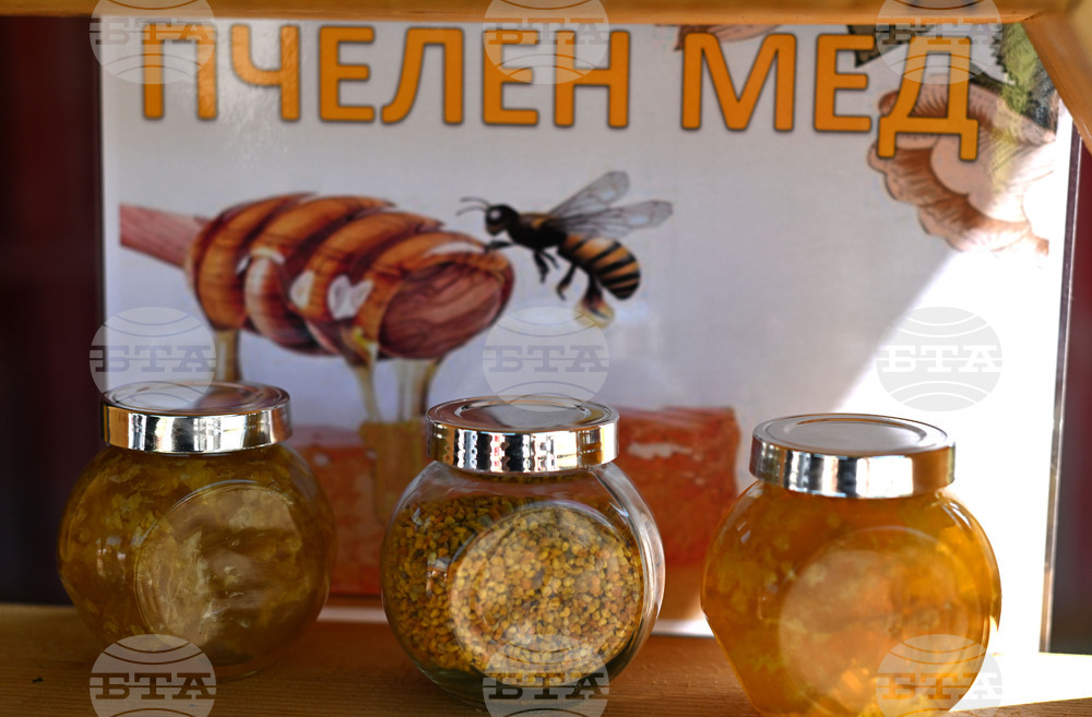 Село Каменово - Празник на пчеларя и меда