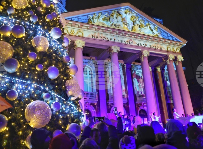 Коледна елха - тържество - светлини