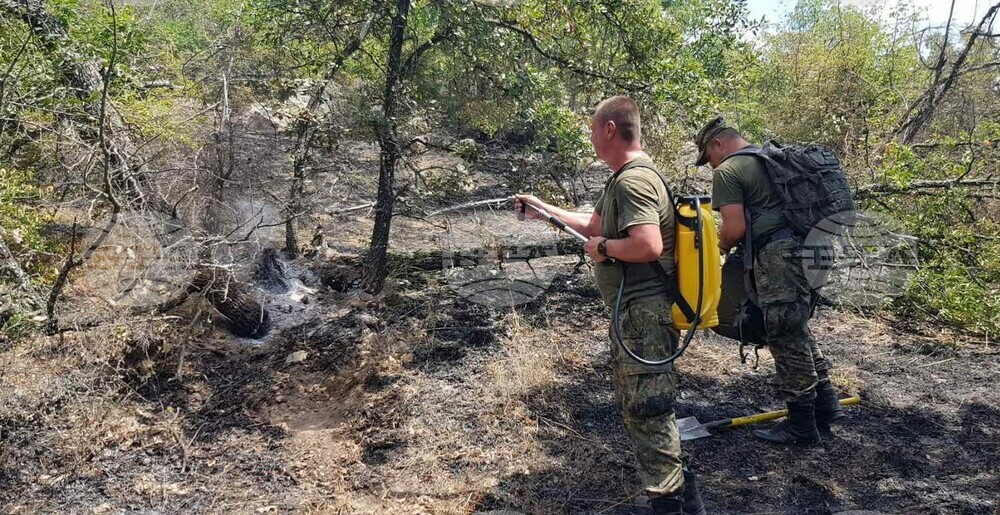 Ситуацията с горския пожар в област Пловдив е под контрол, заяви началникът на отбраната адмирал Емил Ефтимов