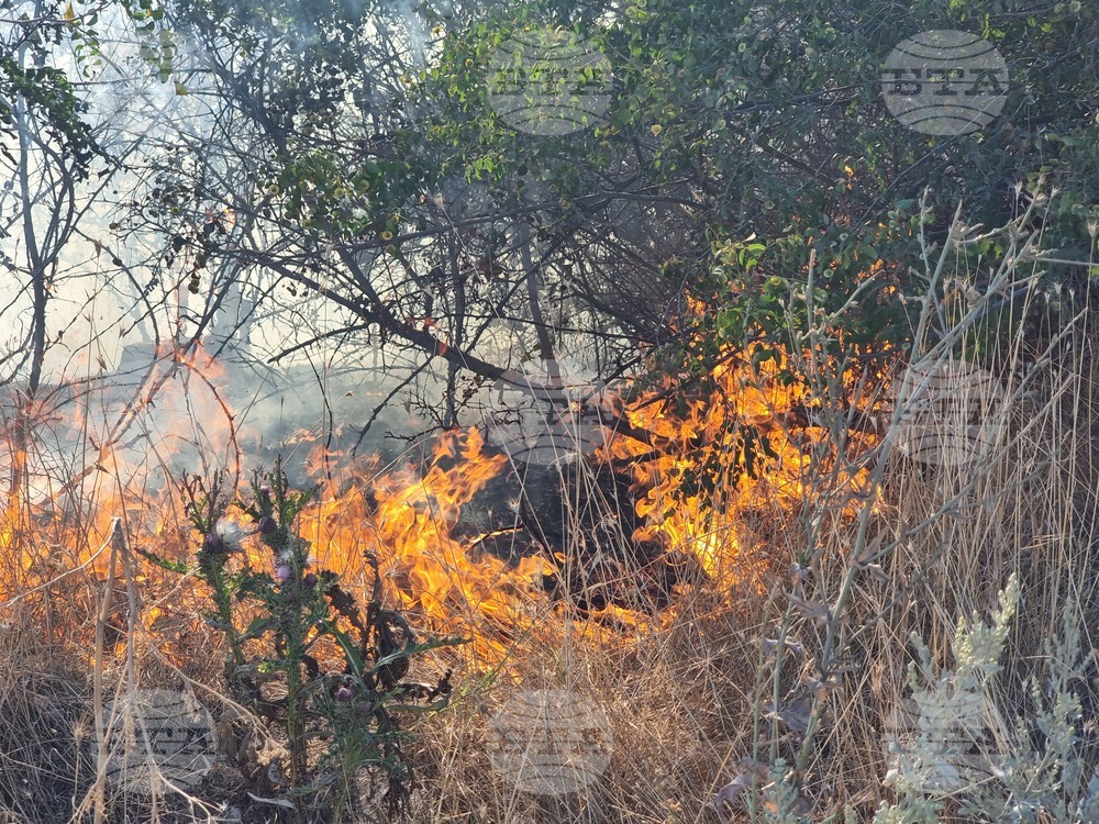 Варна - пожар