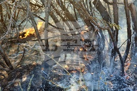 Варна - пожар