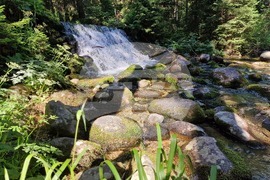 Дворец "Царска Бистрица"