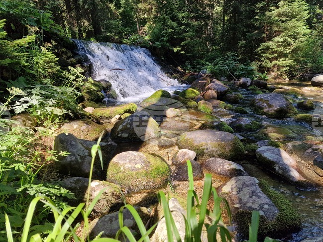 Good Mountain Hiking Conditions on Saturday