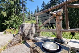 Дворец "Царска Бистрица"