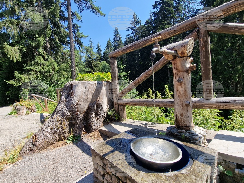 Дворец "Царска Бистрица"