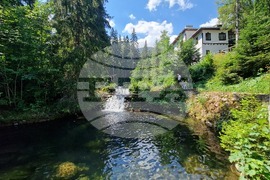 Дворец "Царска Бистрица"