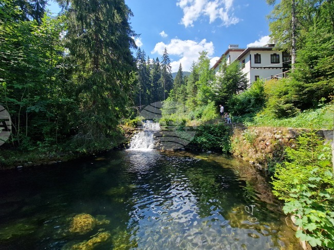 Дворец "Царска Бистрица"