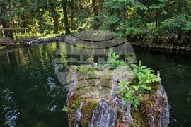 Дворец "Царска Бистрица"