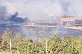 Хасково - пожари - Село Левка