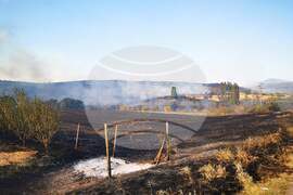 Хасково - пожари - Село Левка