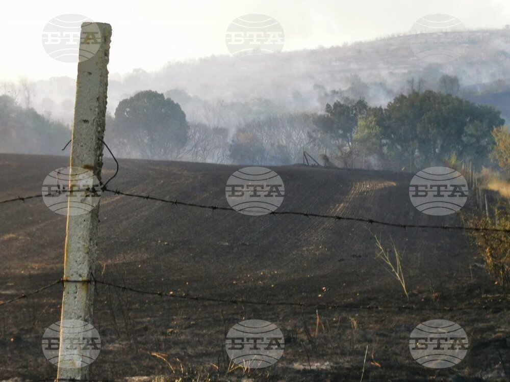 Хасково - пожари - Село Левка