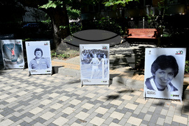 Вършец - изложба