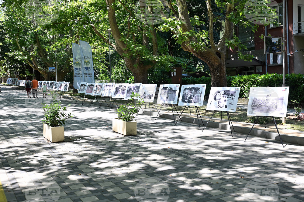 Вършец - изложба