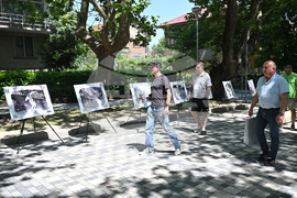 Вършец - изложба