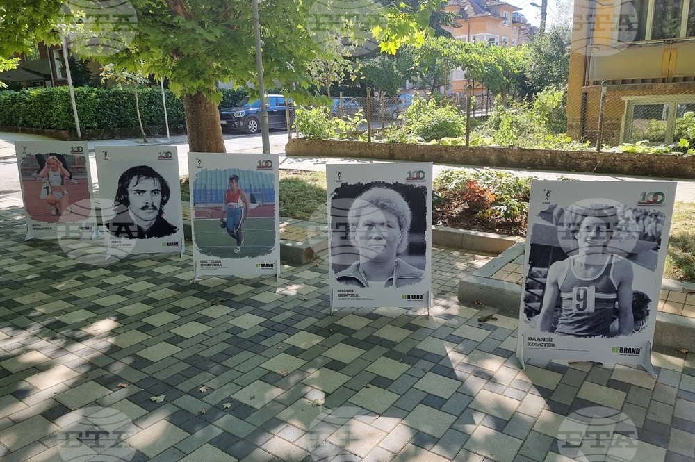 Вършец - изложба