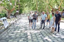 Вършец - изложба