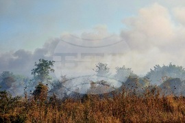 Варна - пожар