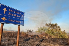 Варна - пожар - Слънчево и Припек