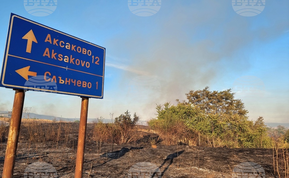 Пожарът край село Слънчево отново се е разгорял, участък от магистрала "Хемус" е затворен за движение