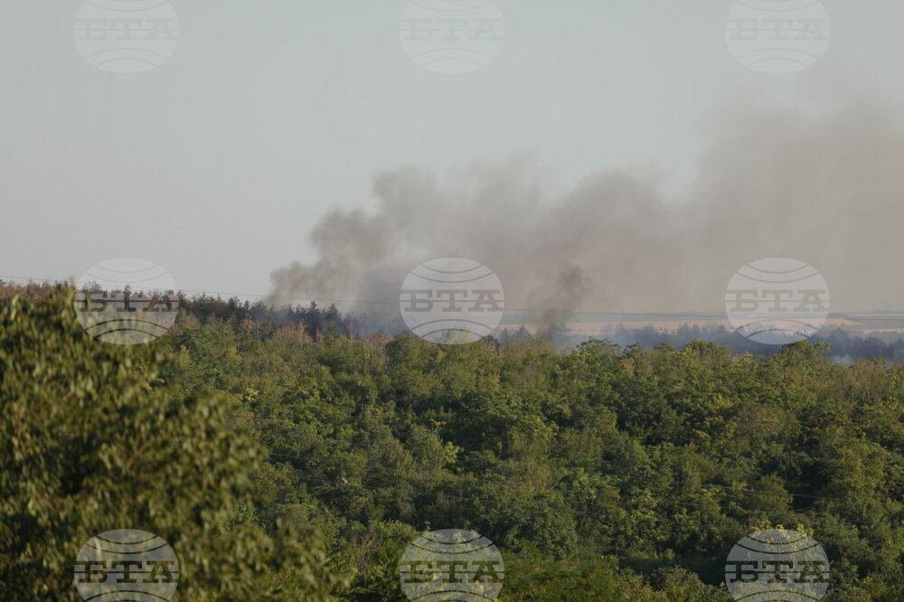 Огнеборци гасят пожар в гора край Русе