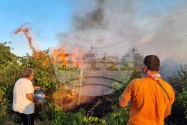 Варна - пожар - Слънчево и Припек
