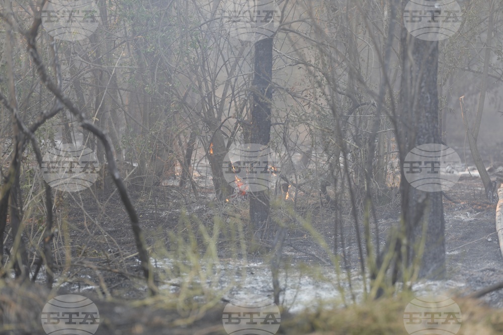 Русе - пожар