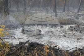 Русе - пожар