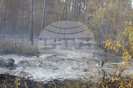 Русе - пожар