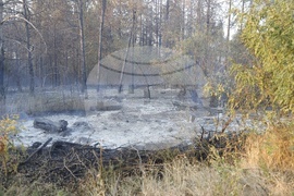 Русе - пожар