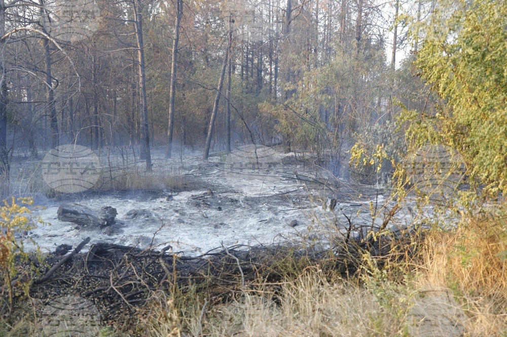 Русе - пожар