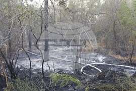 Русе - пожар