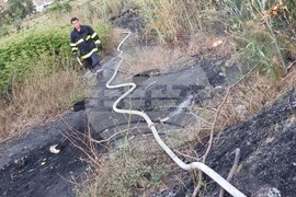 Варна - пожар - квартал Максуда