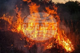 Варна - пожар - квартал Максуда