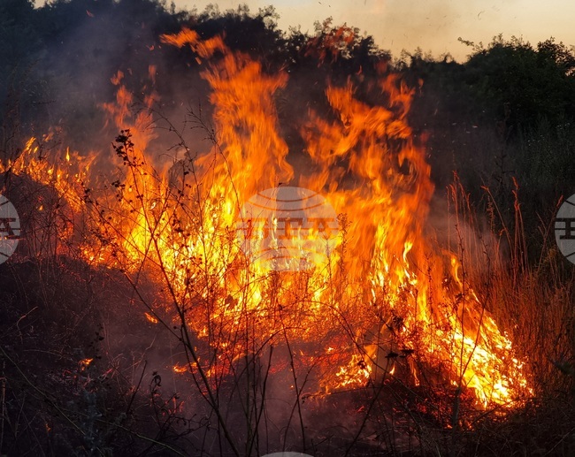 Горски пожари бушуват на гръцките острови Кефалония и Закинтос, както и в Централна Гърция