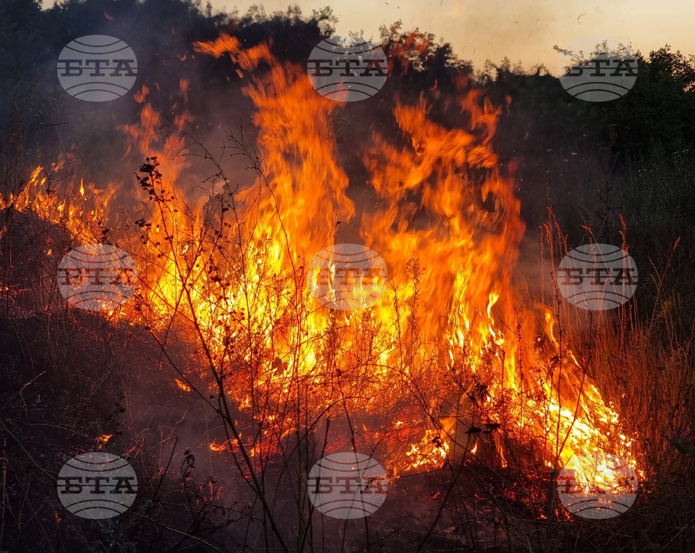 Варна - пожар - квартал Максуда
