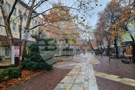 Търговище - коледна украса 