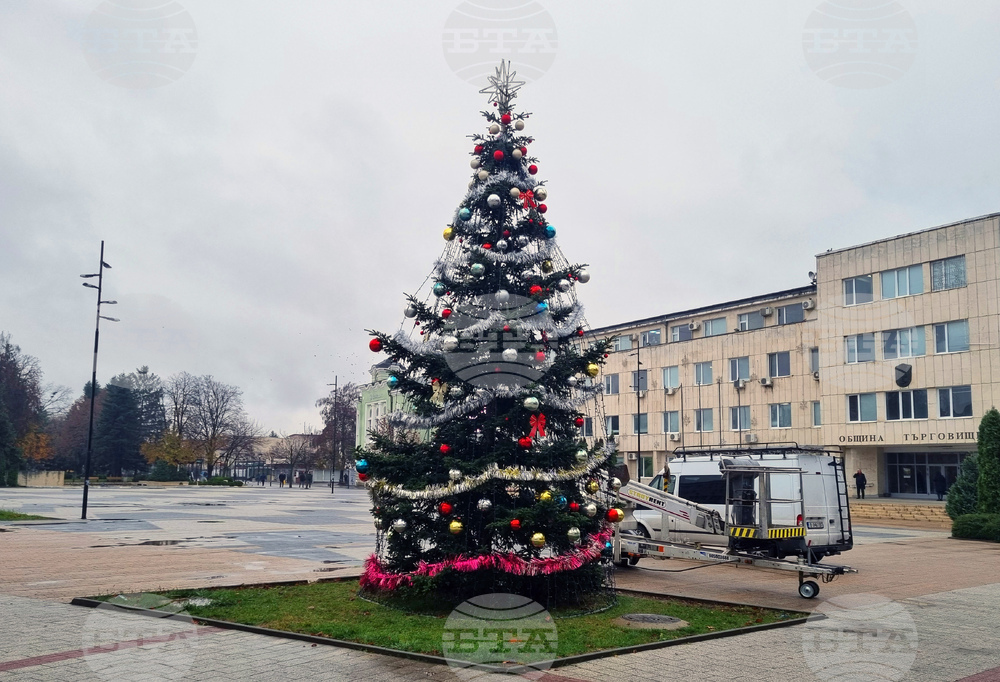 Търговище - коледна елха - украса
