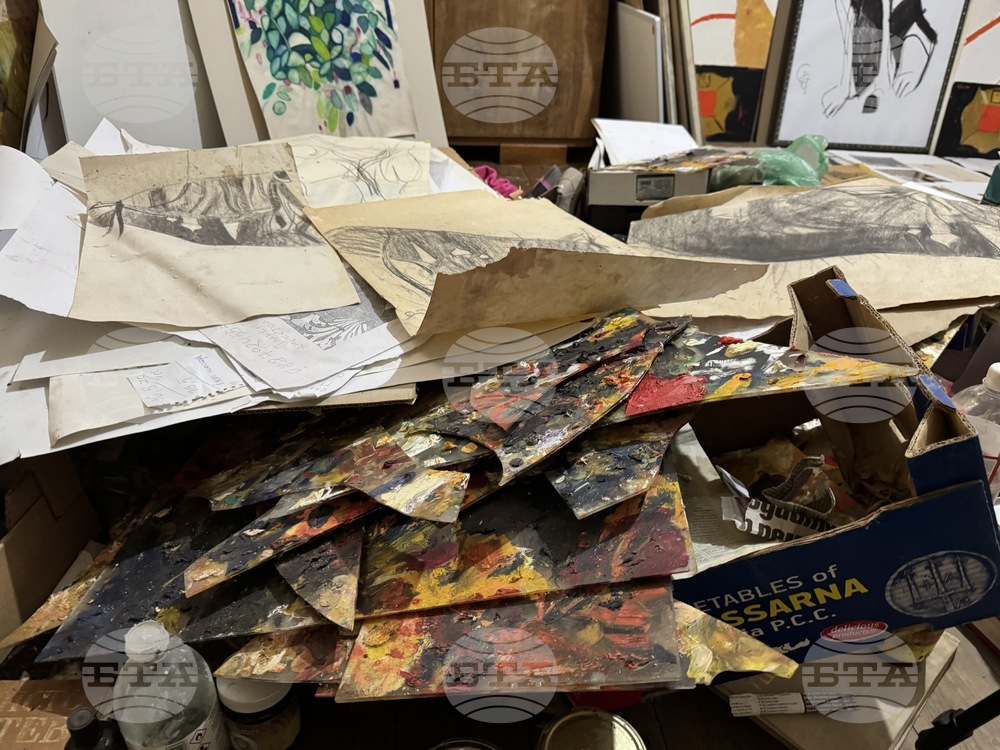 Стефанка Стойчева - „Погледни ме“ - изложба - предстоящо откриване - художествено ателие